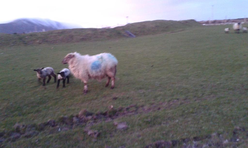Achill West Coast House Bed & Breakfast Dooagh Dış mekan fotoğraf